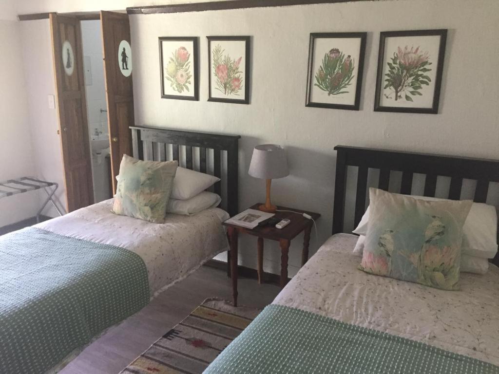 Beit Shalom Before Known As Best Little Guesthouse 奥茨胡恩 外观 照片